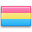 Pansexual